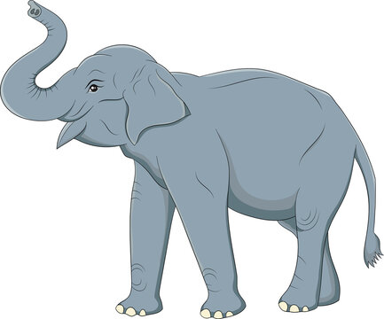 Cute Asian Elephant png image