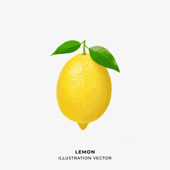 lemon with leaves vector illustration