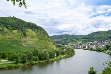 Fototapeta na wymiar The Moselle flows past the spa town of Cochem