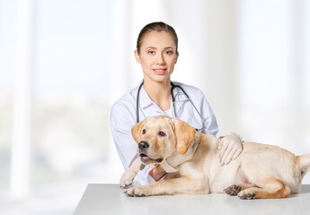 Fototapeta na wymiar Happy young veterinarian doctor and cute dog