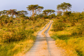 path in the countryside