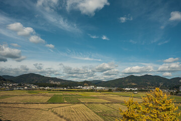 広い田園風景