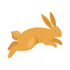 golden rabbit chinese animal