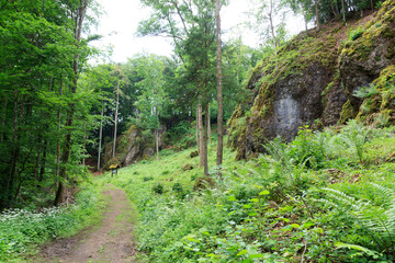 Hiking path in the Eifel mountains with rocks and trees near Gerolstein, Germany