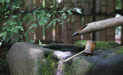 A quaint decoration called Tukubai, made of bamboo tubes with water flowing through them in a Japanese garden