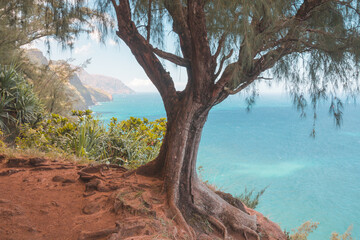 Na Pali Coast Trail Kauai Hawaii ocean view trail
