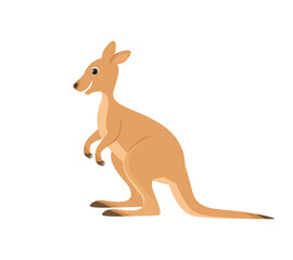 Wallaby. Cute funny Australian animal. Vector cartoon flat illustration of kangaroo.
