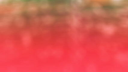 abstract background A bare green Christmas tree ready to be decorated. red black and white gradient blur isolated on white background green white isolated blank nature winter holiday plant by twig 