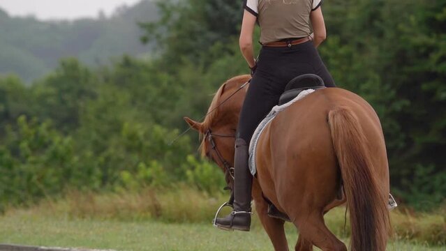 Dressage Horse and Rider Trot In Outside Riding Arena - Tracking Medium