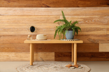 Bench with houseplant, hat, reed diffuser and mirror near wooden wall