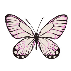 Obraz na płótnie Canvas Artistic butterfly, brush and paint texture. High quality illustration