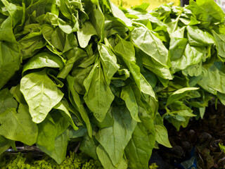 Fresh spinach in the supermarket. Vegetables and fruits exposed for consumer choice. Brazilian hortifrutti