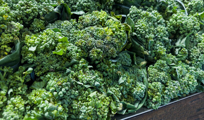 Fresh broccoli in the supermarket. Vegetables and fruits exposed for consumer choice. Brazilian hortifrutti