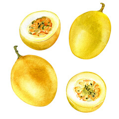 Set of passion fruits watercolor illustration isolated on white background. Tropical yellow maracuja hand drawn. Design element for packaging, menu, recipe, herbal tea, ice-cream, stickers, tableware.