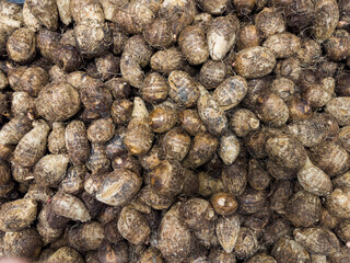 Fresh yams in the supermarket. Vegetables and fruits exposed for consumer choice. Brazilian hortifrutti