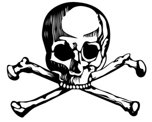  Vector image of bones and skull isolated