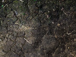 踏み固まった地面　背景　テクスチャ
