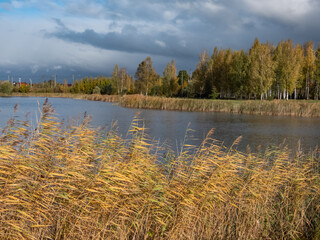 Beautiful landscape of autumn scenery with big lake, spur trees, birch trees and vegetation in...
