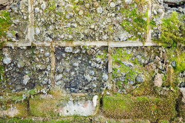 Old weathered cinder block and brick wall and moss background texture. Close-up, noisy background, greenhouse