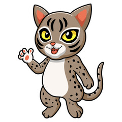 Fototapeta na wymiar Cute ocicat cat cartoon waving hand