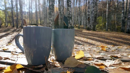 Foto op Plexiglas Two gray glasses on a wooden table in the woods. On the table are yellow-orange leaves that have fallen from the birches. In the distance, you can see tall autumn birches, shadows, a shelter house © SergeyPanikhin