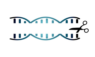 mRNA helix