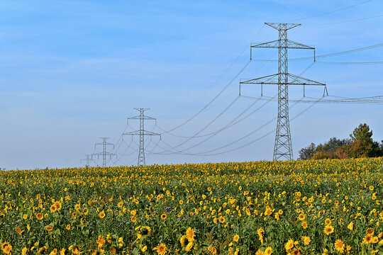 Sunflowers field with tower of 400 kV power transmission line of the Czech transmission system.