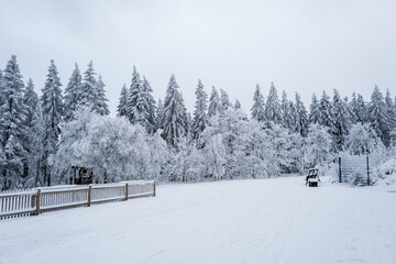 winterwald im sauerland
