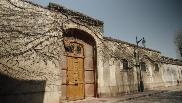 Doorway with vine growing through (4k 30p Slowmotion)