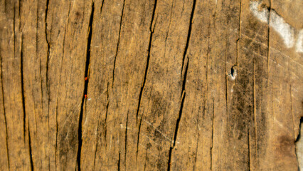 old wood texture as a background