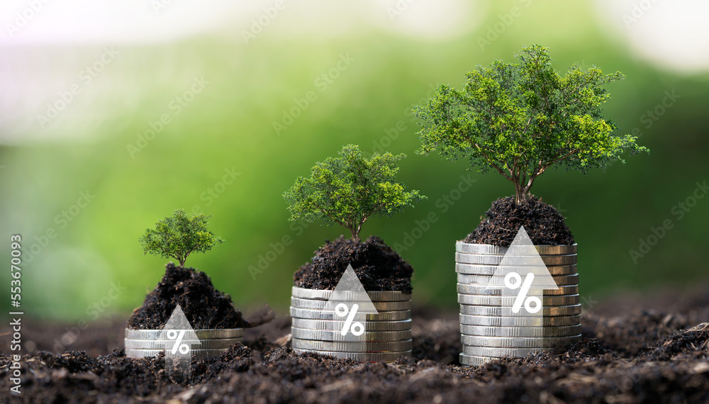 Poster increasing coins stacking on ground with growing tree and greenery background for money saving and d