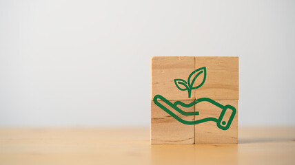 Hand with plant icon print screen on wooden cube block for plant a tree to reduce carbon dioxide or CO2 which it prevent global warning and make money from carbon credit , Environmental concept.