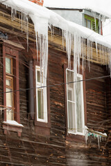 Multiple icicles hang on the edge of the roof, winter or spring. Log wall of an old wooden house with windows. Large cascades of icicles in smooth, beautiful rows. Cloudy winter day, soft light.