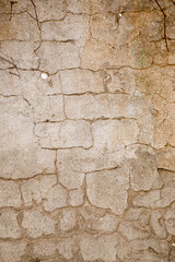 Photo of a wall with cracked plaster - stock background. A vintage shot of an old shabby wall with uneven, non-symmetrical cracks - an image for an artistic background. Soft warm light.