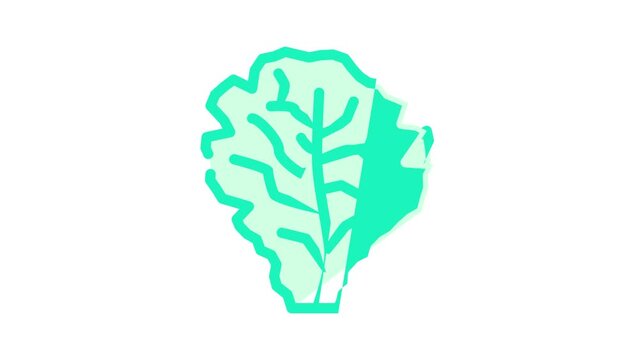 lettuce salad color icon animation