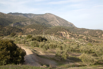 Path in Sierra Magina National Park, Jaen, Spain