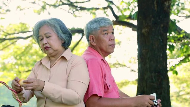 Elderly couple is happy and happy sitting in the garden under shady trees doing recreational activities, eating fruit and drawing pictures of nature : Retirement health life insurance concept
