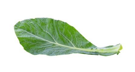 Chinese kale vegetable isolated on transparent png - obrazy, fototapety, plakaty