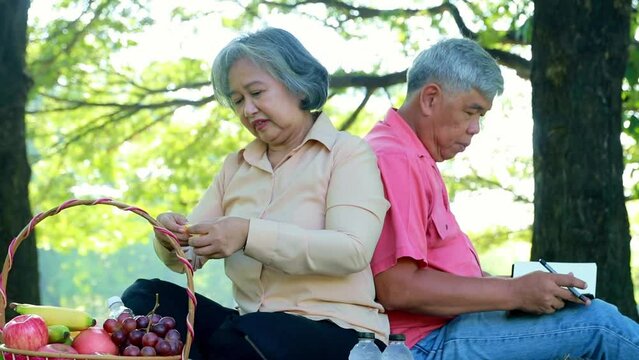Elderly couple is happy and happy sitting in the garden under shady trees doing recreational activities, eating fruit and drawing pictures of nature : Retirement health life insurance concept