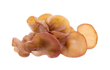 Jew's ear, Wood ear, Jelly ear isolated on transparent png