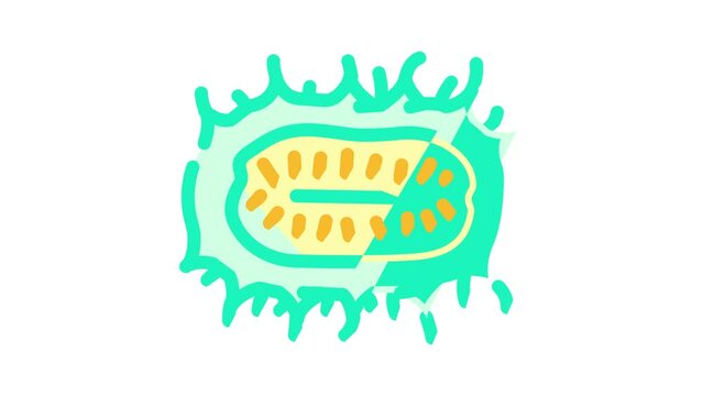 anguria cucumber color icon animation