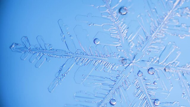 Snowflake close up under microscope panning view blue background fine details