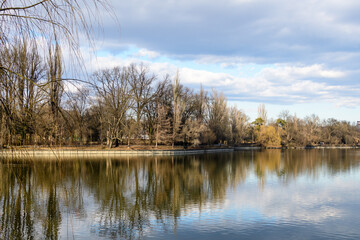 Landscape with large old trees near Herastrau lake in King Michael I Park (Herastrau) in Bucharest, Romania, in a sunny winter day