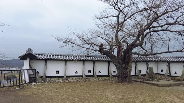 丘陵に建つ復元された白河小峰城跡