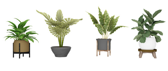 Set of decorative plants for flyer catalogs, triptychs, etc.