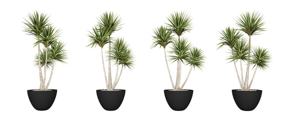 Set of decorative plants for flyer catalogs, triptychs, etc.