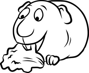 Niedliches Meerschweinchen knabbert an einem gesunden grünen Blatt Salat