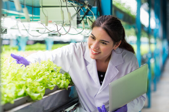 Young Woman Scientist Holding Laptop Computer Analyzes And Studies Research In Organic, Hydroponic Vegetables Plots Growing On Indoor Vertical Farm