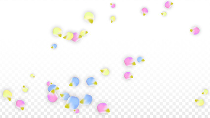 Vector Realistic Colorful Petals Falling on Transparent Background.  Spring Romantic Flowers Illustration. Flying Petals. Sakura Spa Design. Blossom Confetti. Design Elements for Wedding Decoration.