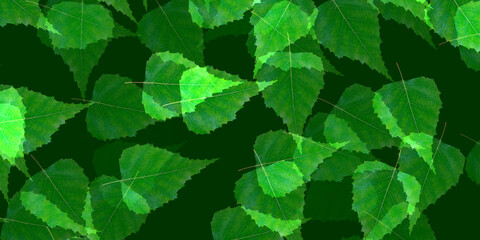 Fototapeta na wymiar Plant natural background illustration